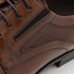 Pier One Leather - Veterschoenen - Brown -Pier One-Winkel 62697cb687b04800bc1b75b156b843b7 scaled