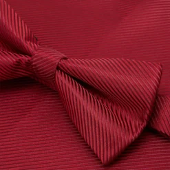 Pier One Set - Stropdas - Bordeaux 10 Pier One Set - Stropdas - Bordeaux -Pier One-Winkel 78c94279a24a403593e284544b5065b2 scaled